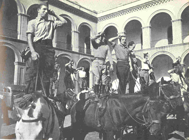 Cavalerie